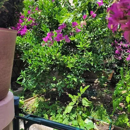 Joli Rez De Jardin
