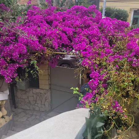 Joli Rez De Jardin *