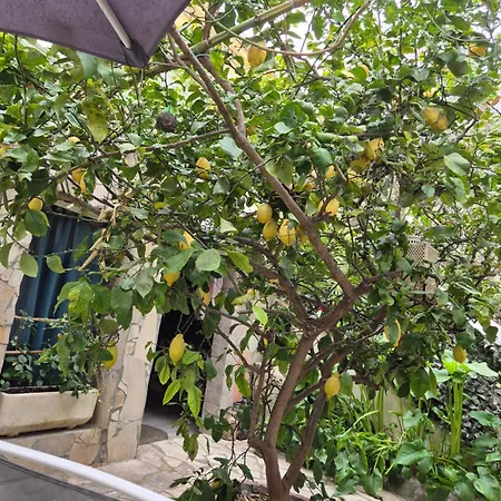 Joli Rez De Jardin